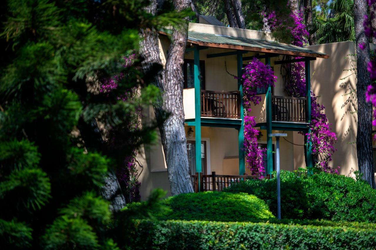 Turquoise Hotel Side Esterno foto